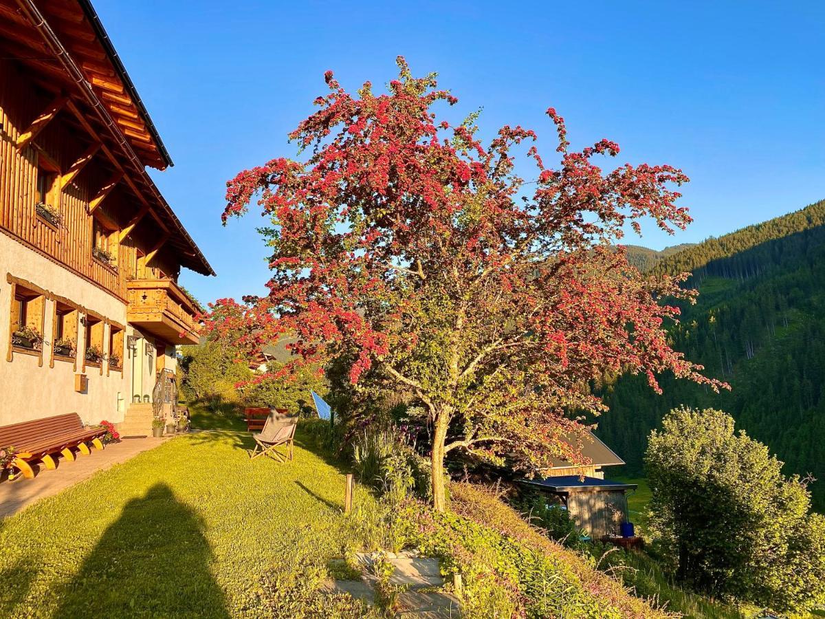Alm Seasons Premium Chalet & Studios Saalbach-Hinterglemm Luaran gambar